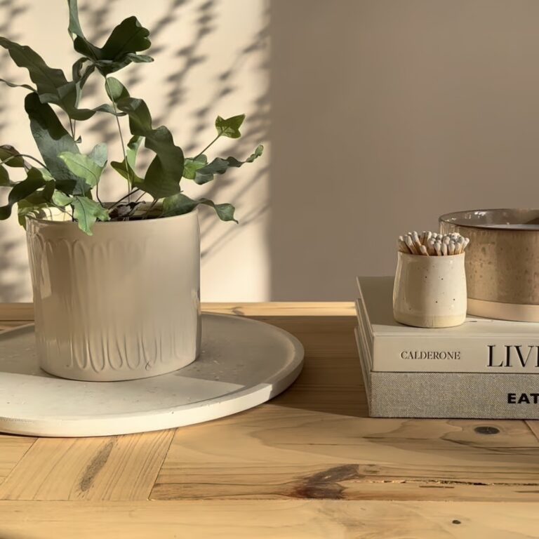 White seashell tray with plant pot on wooden table